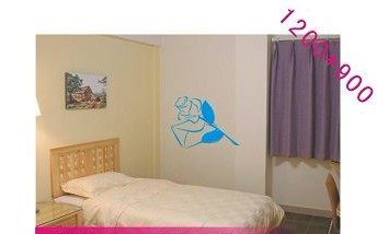 Walldecals